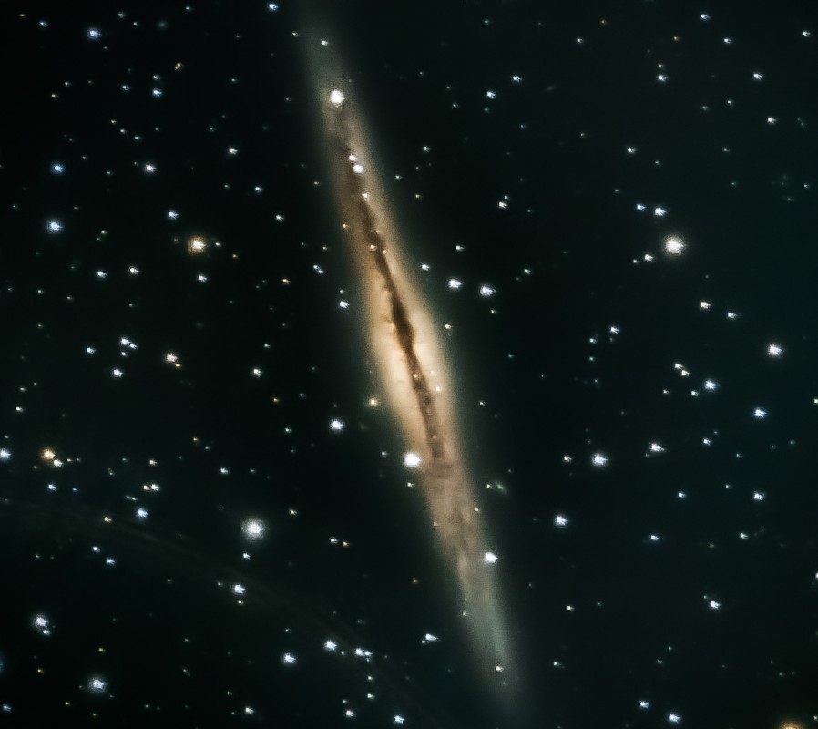 Ngc891