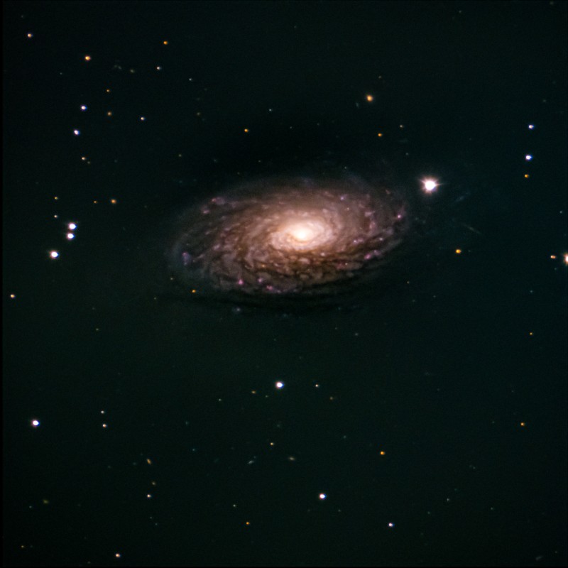 M63