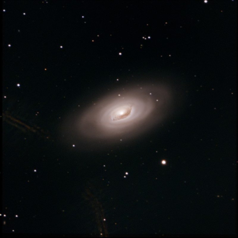 M64