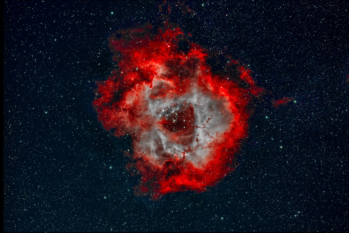 Rosette nebula