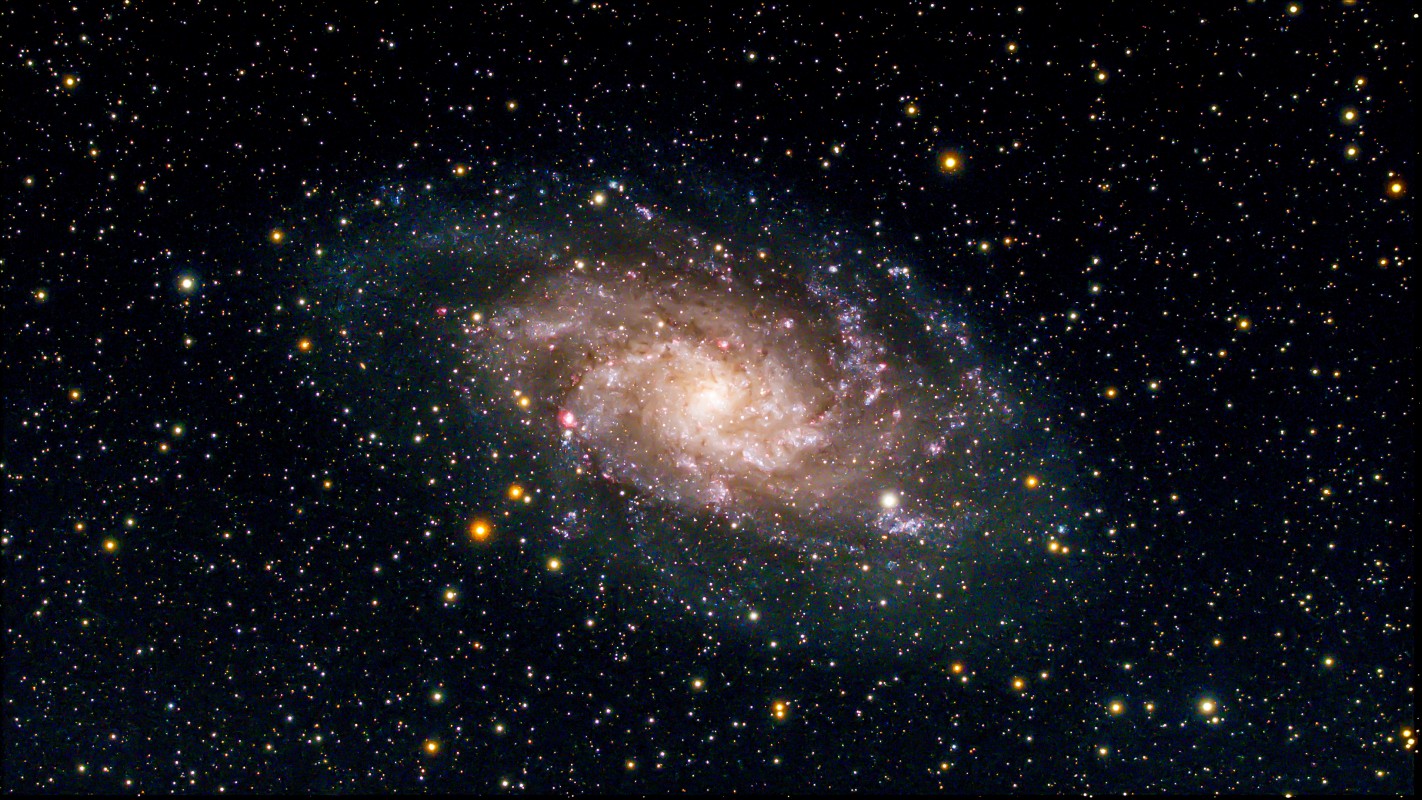 M33