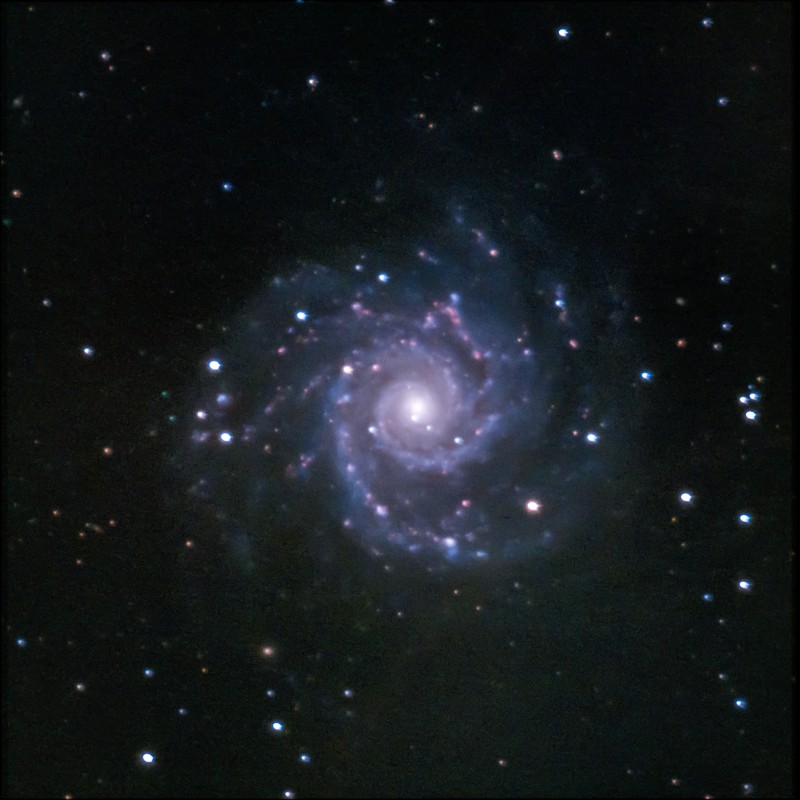 M74