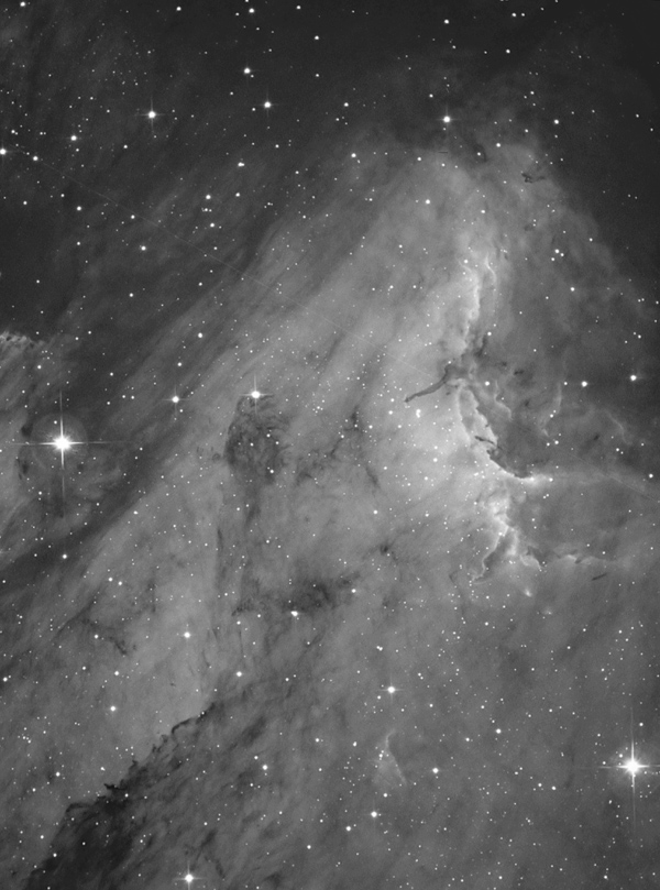 Pelican Nebula
