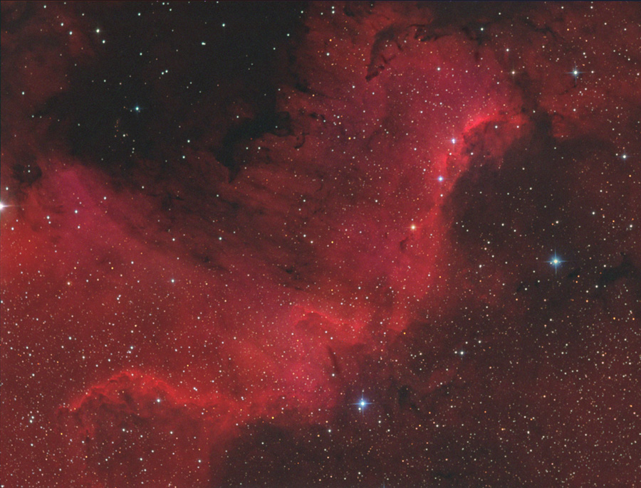 CYGNUS WALL