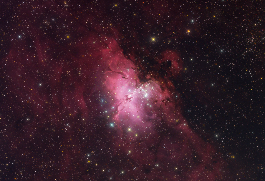 M16 image