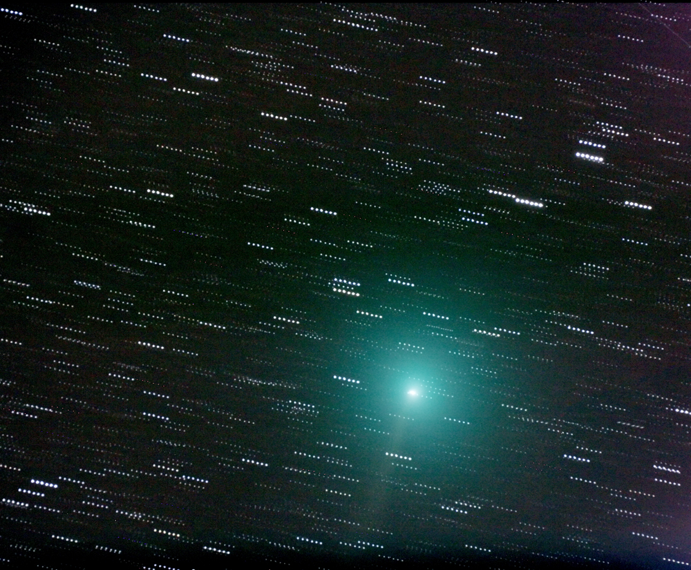 comet tuttle