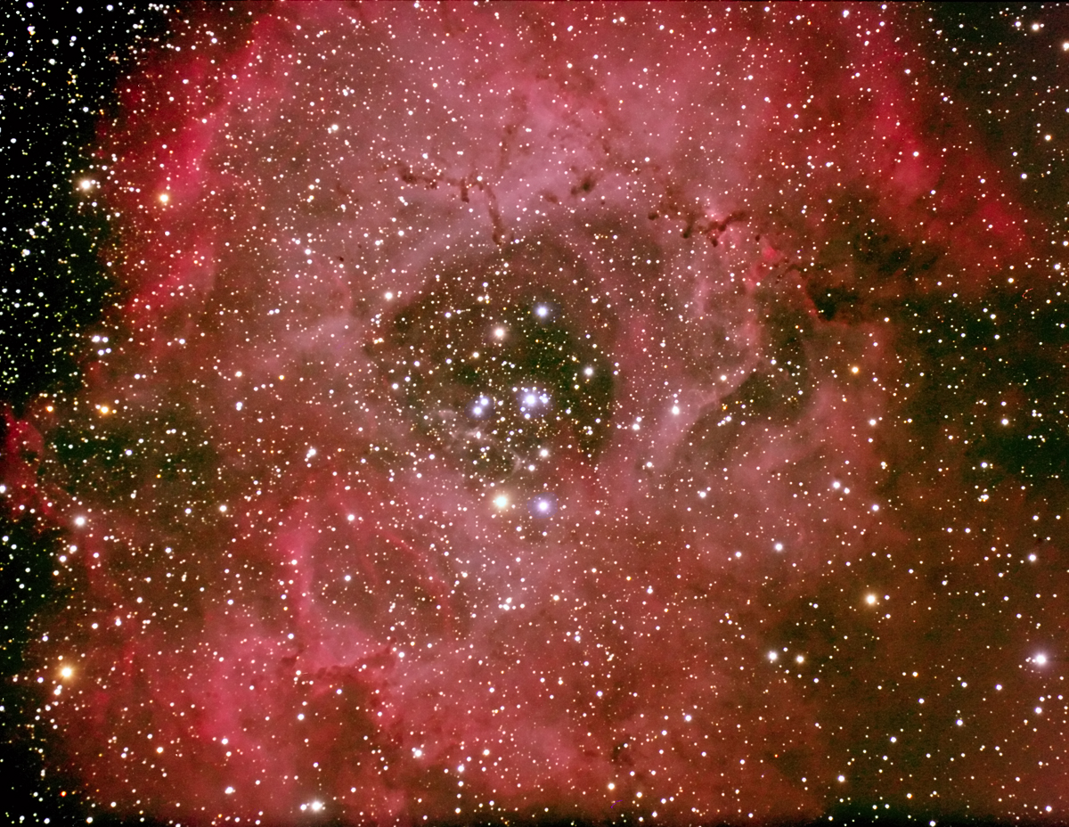 rosetta nebula