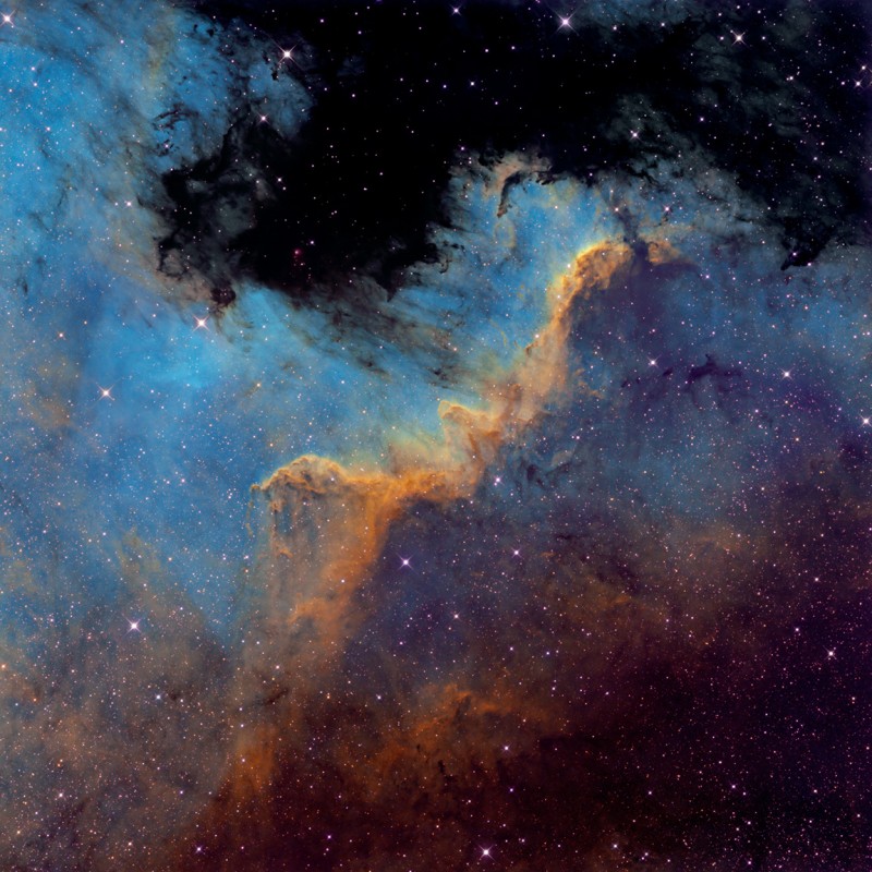 The Cygnus Wall