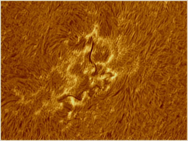 Sunspot 733