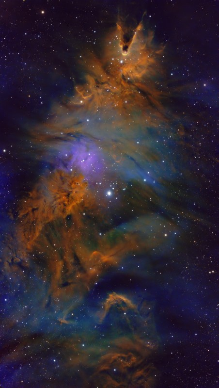 Christmas Tree Cluster, Fox Fur Nebula, Cone Nebua