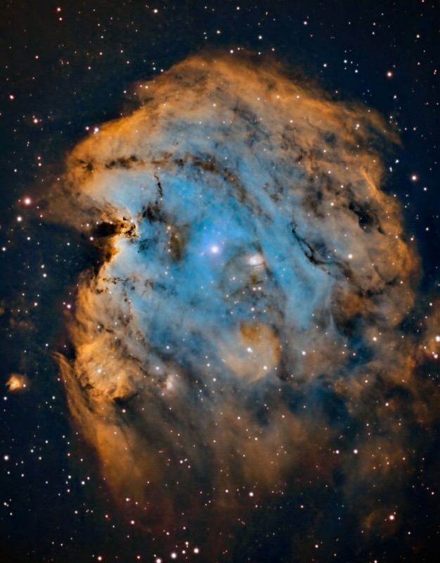 Monkey Head Nebula in SHO image