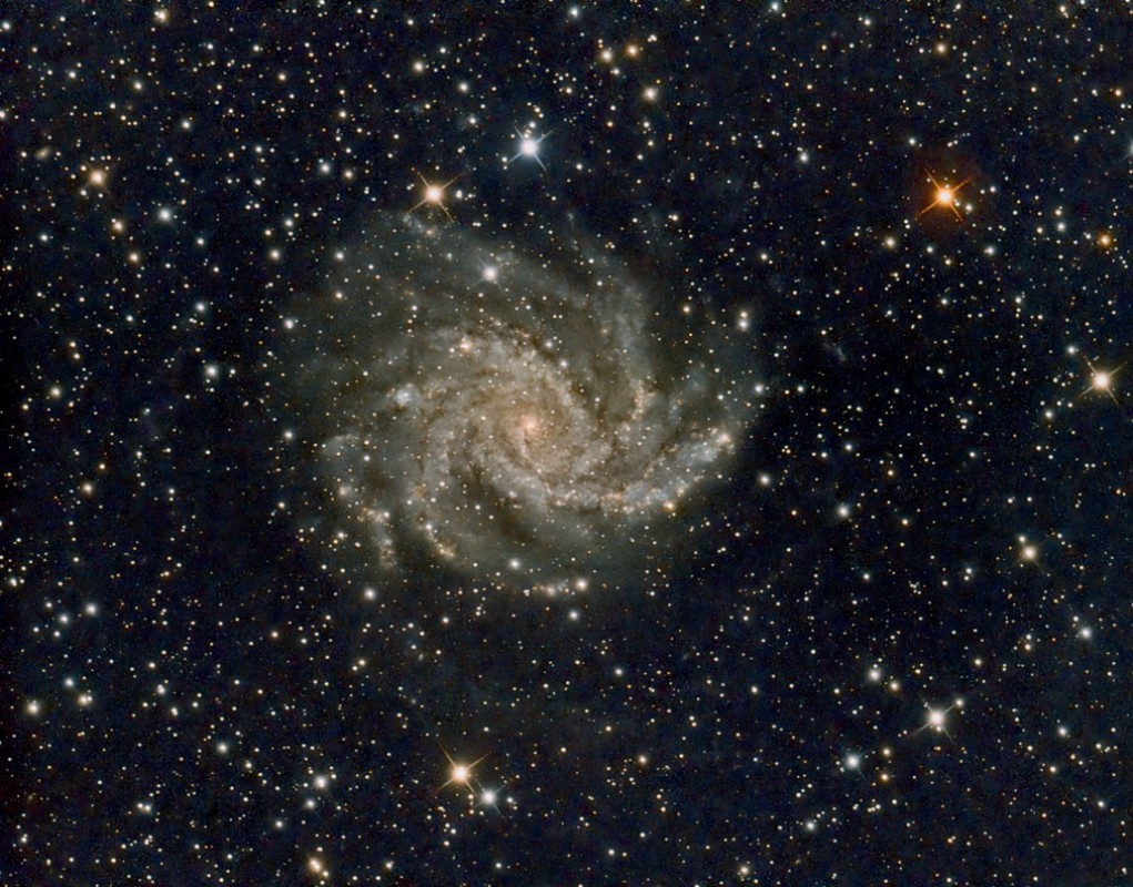 NGC 6946 The Fireworks Galaxy image