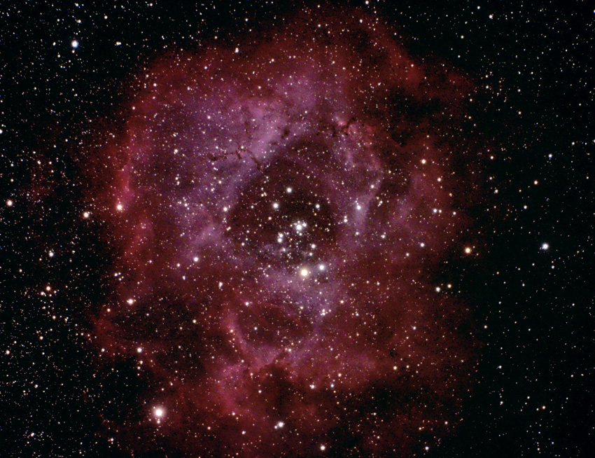 NGC2244