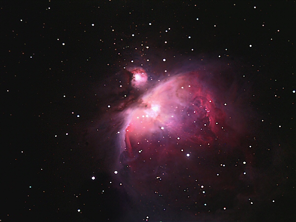 M41,42