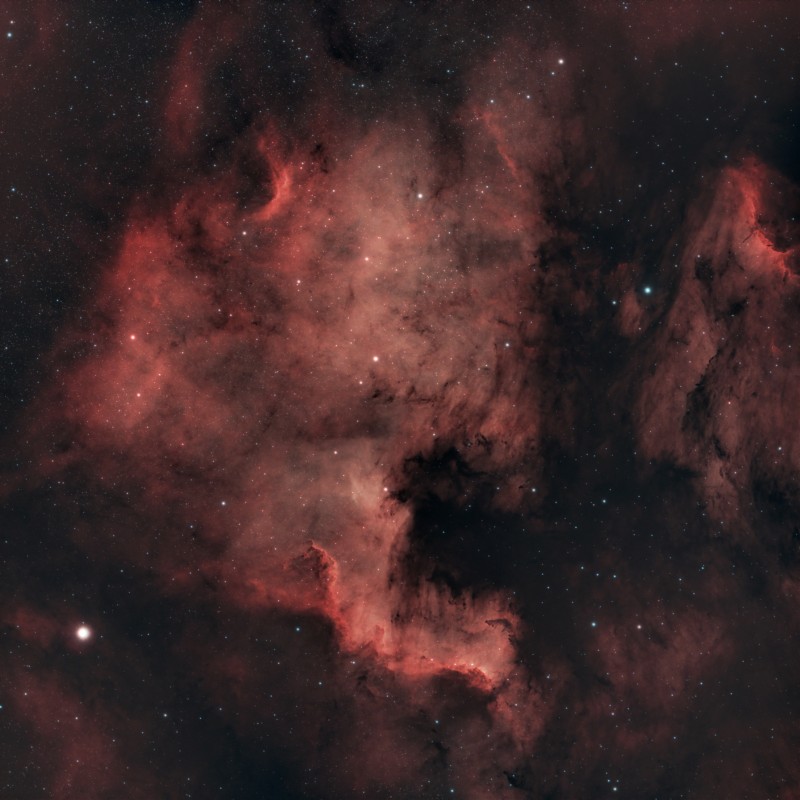 North American Nebula (NGC 7000)