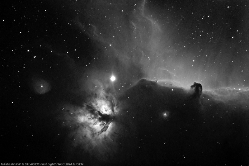 IC434 & NGC2024 / Takahashi NJP / Takahashi FS-128F / STL-6303E / Astrodon 6nm Ha / 1st Light