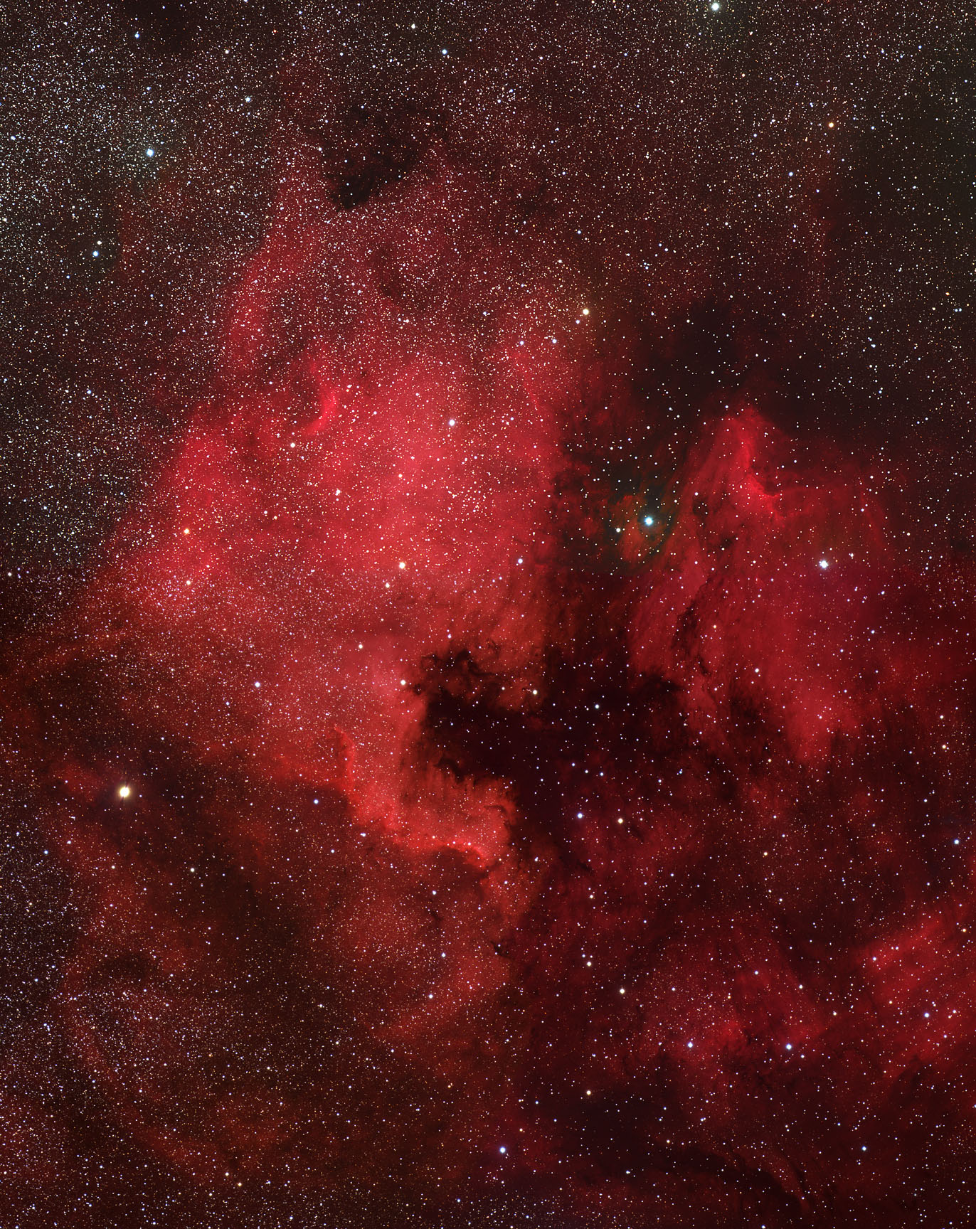 North American and Pelican Nebulas