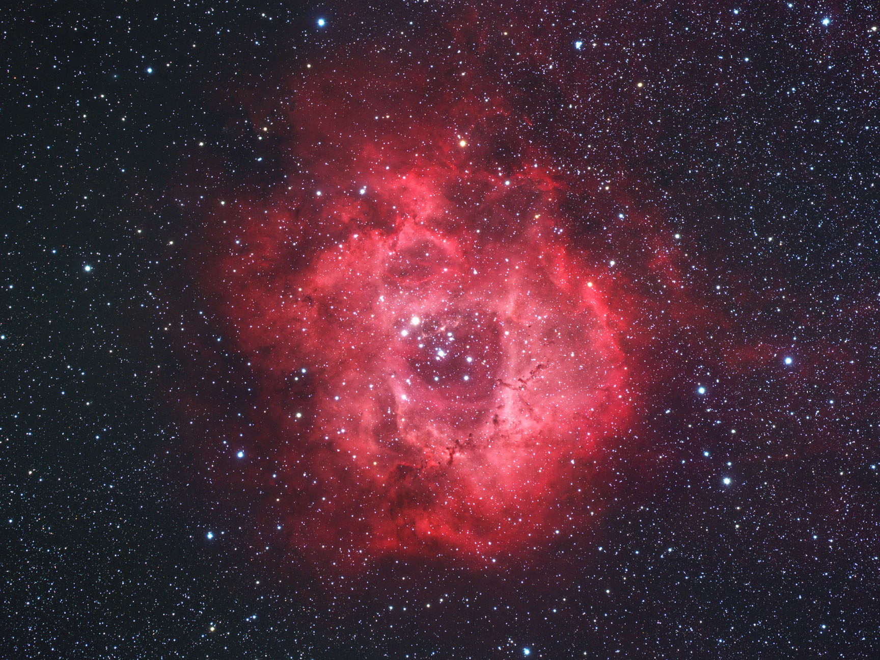 Rosette Nebula
