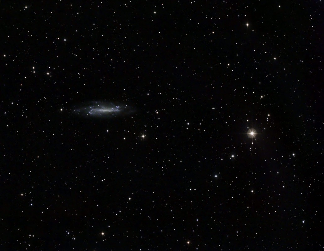 NGC 4236