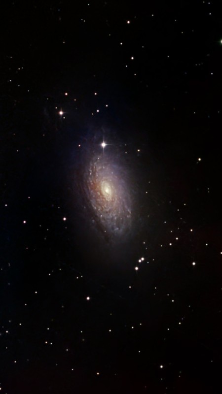 M63