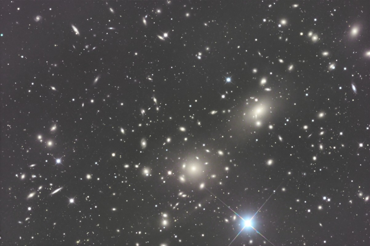 Coma Cluster