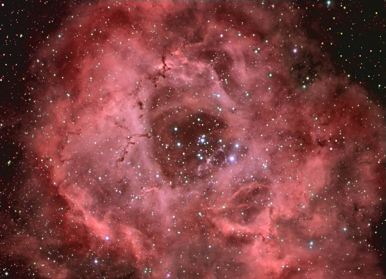 Rosetta Nebula