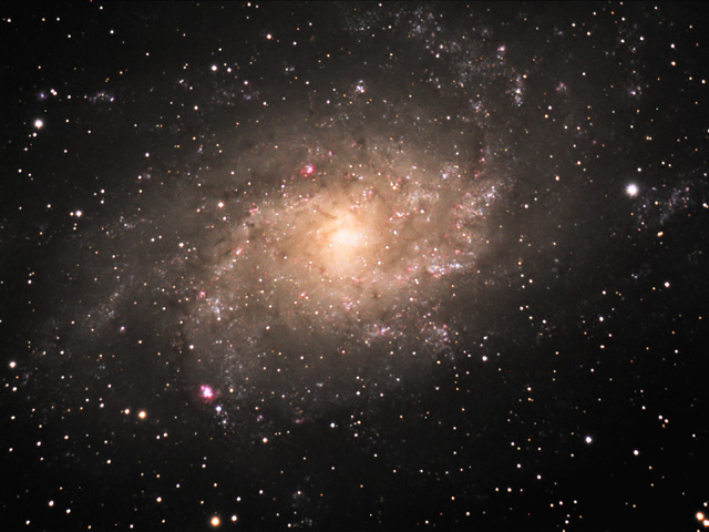 M33