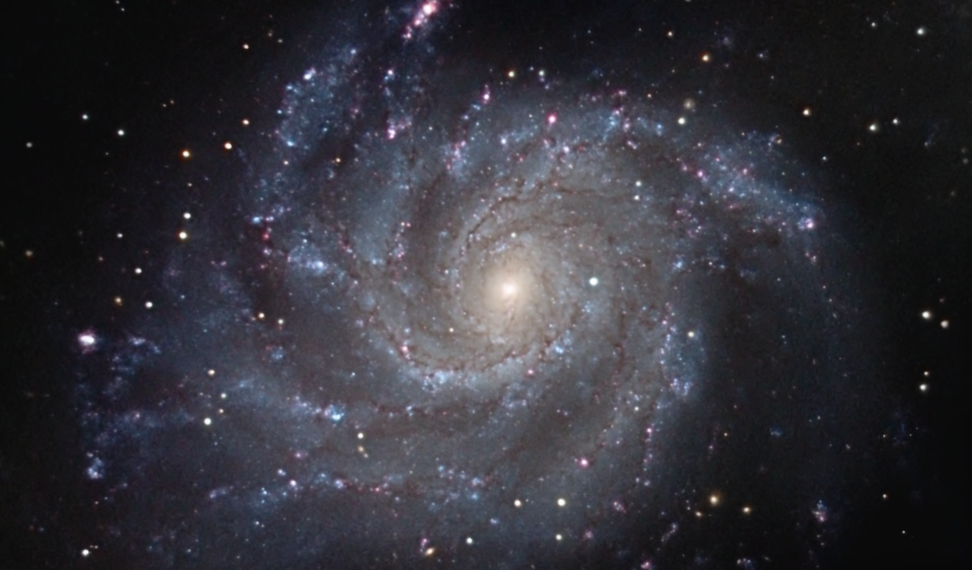 M101