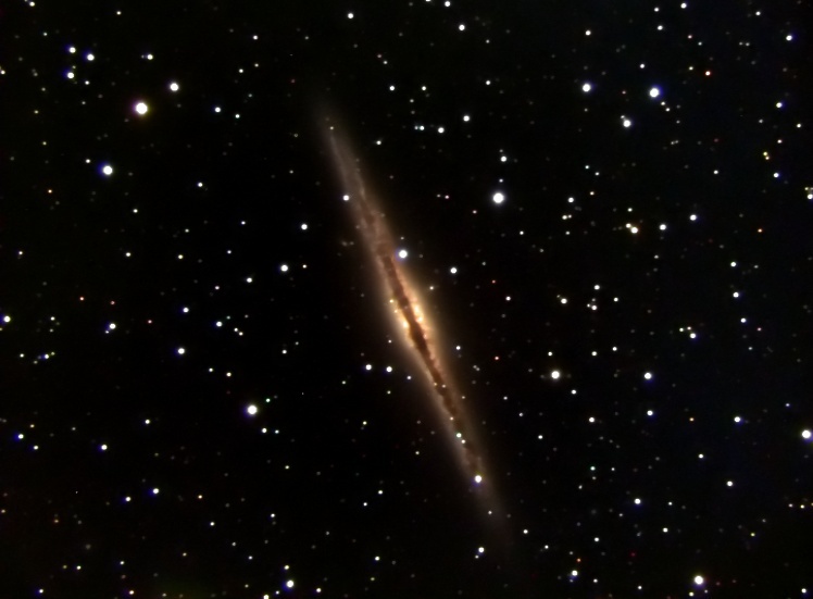 NGC891