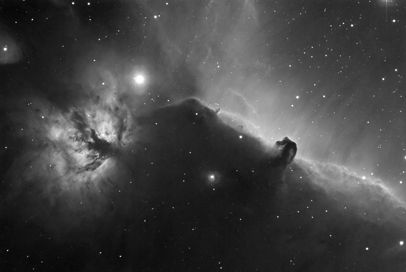Horse Head Nebula