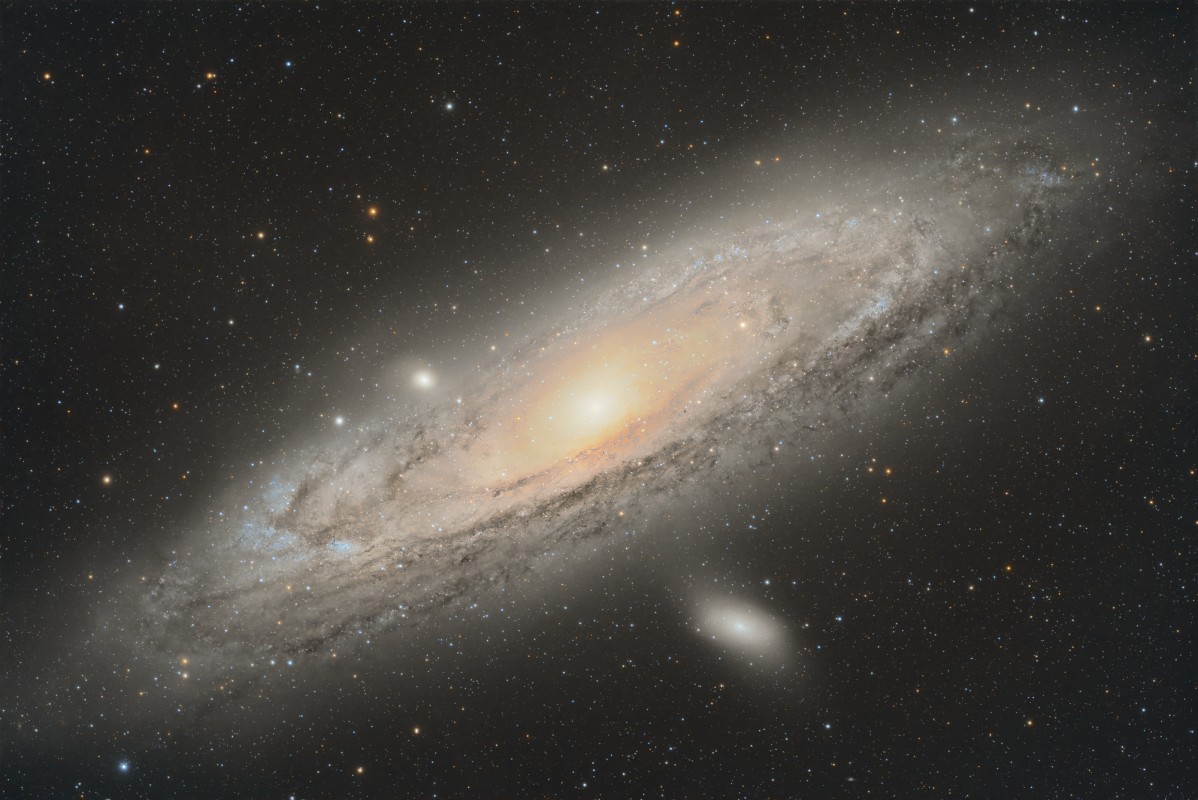 M31