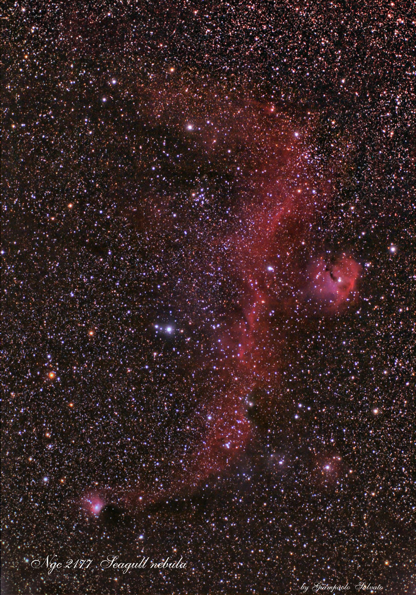 ngc 2177 Seagull