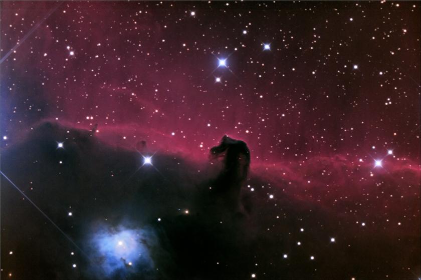 Horse head