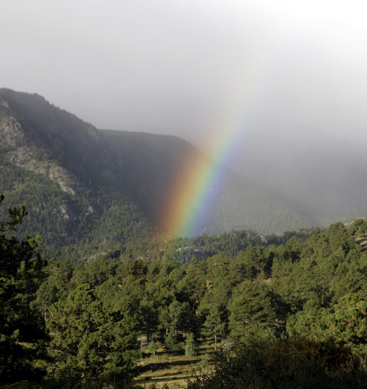 Pot of Gold