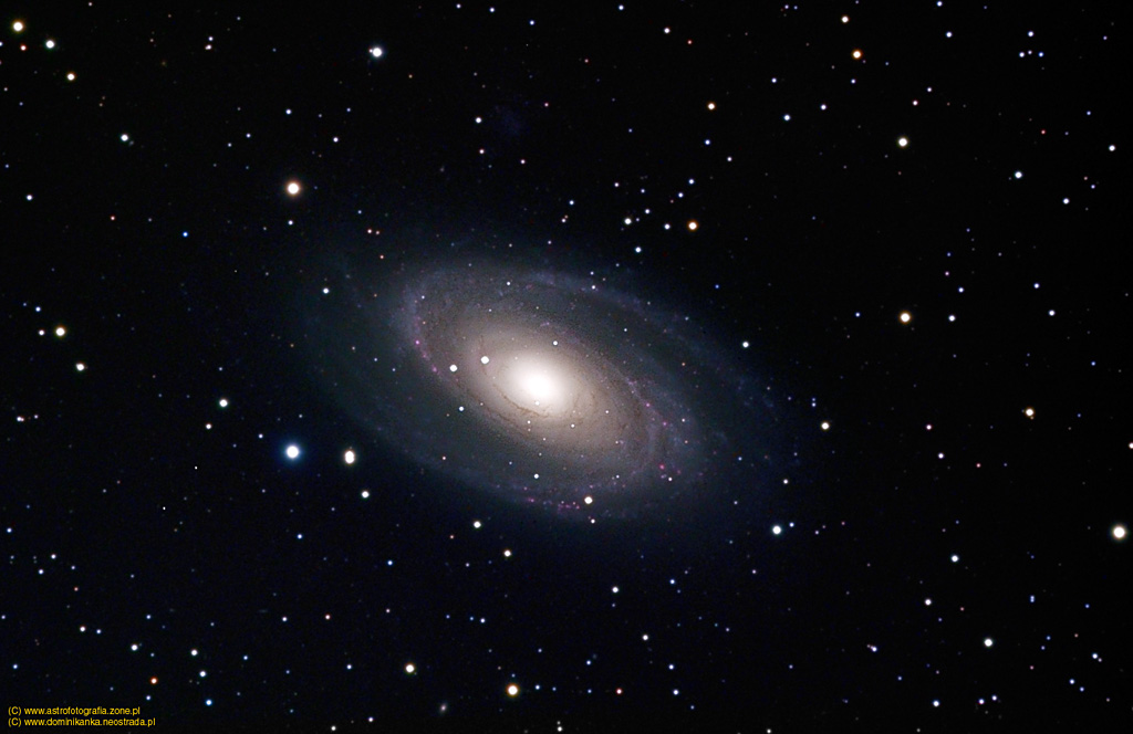 M81