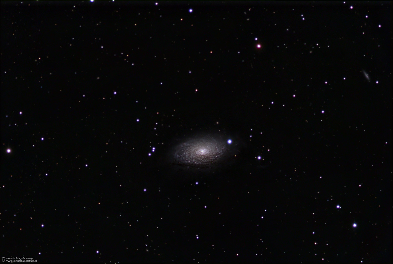 M63