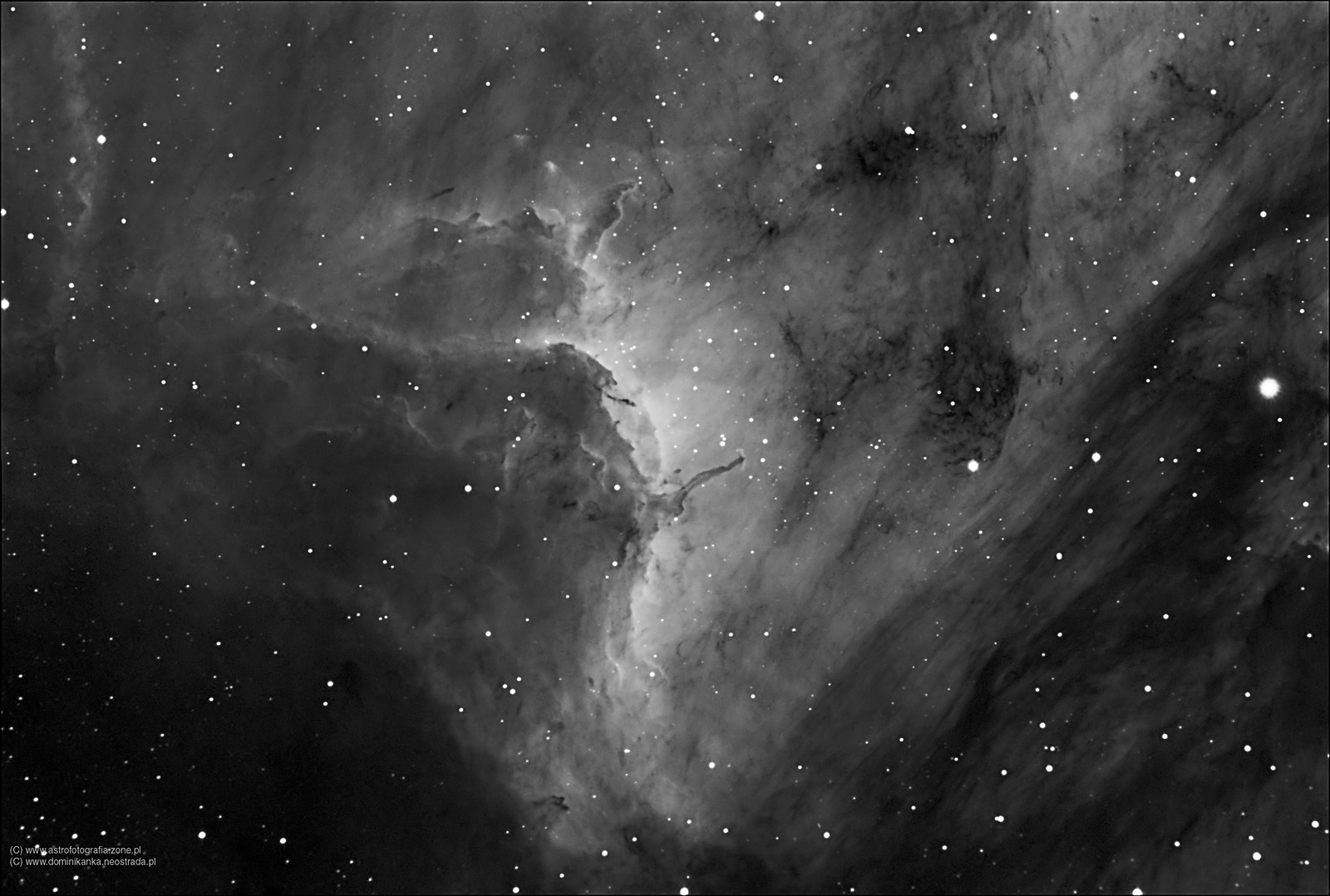 Pelican Nebula (IC5070)