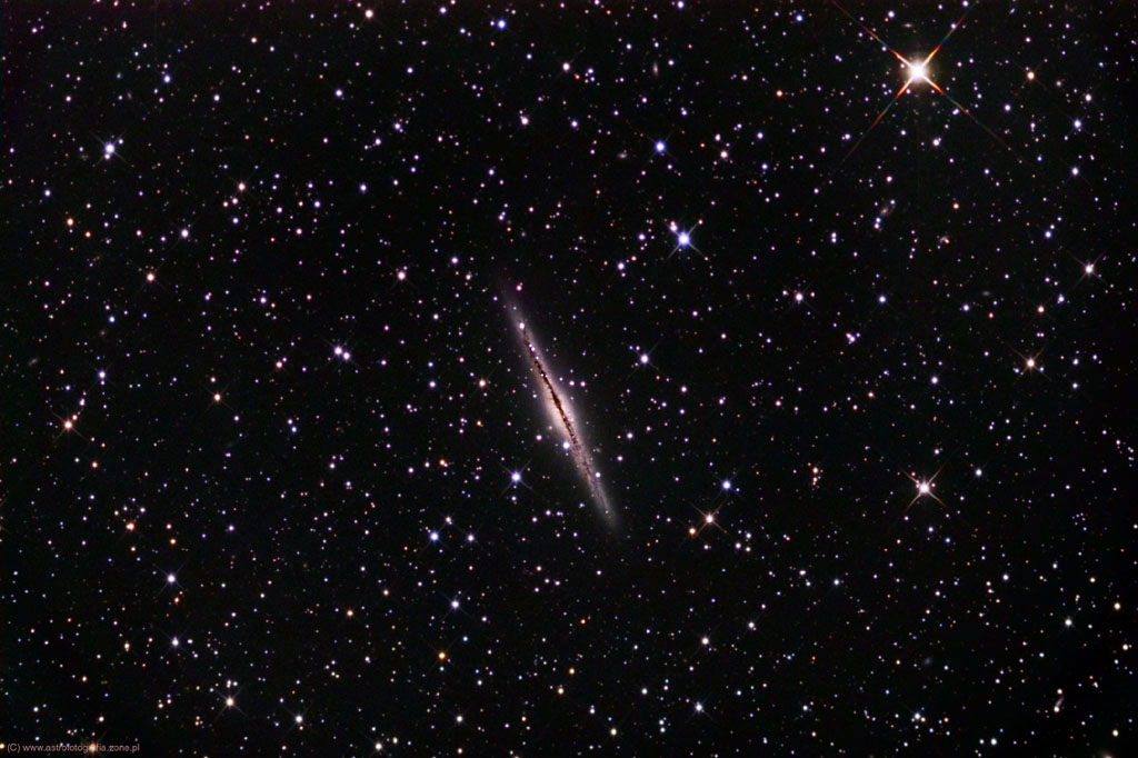 NGC 891