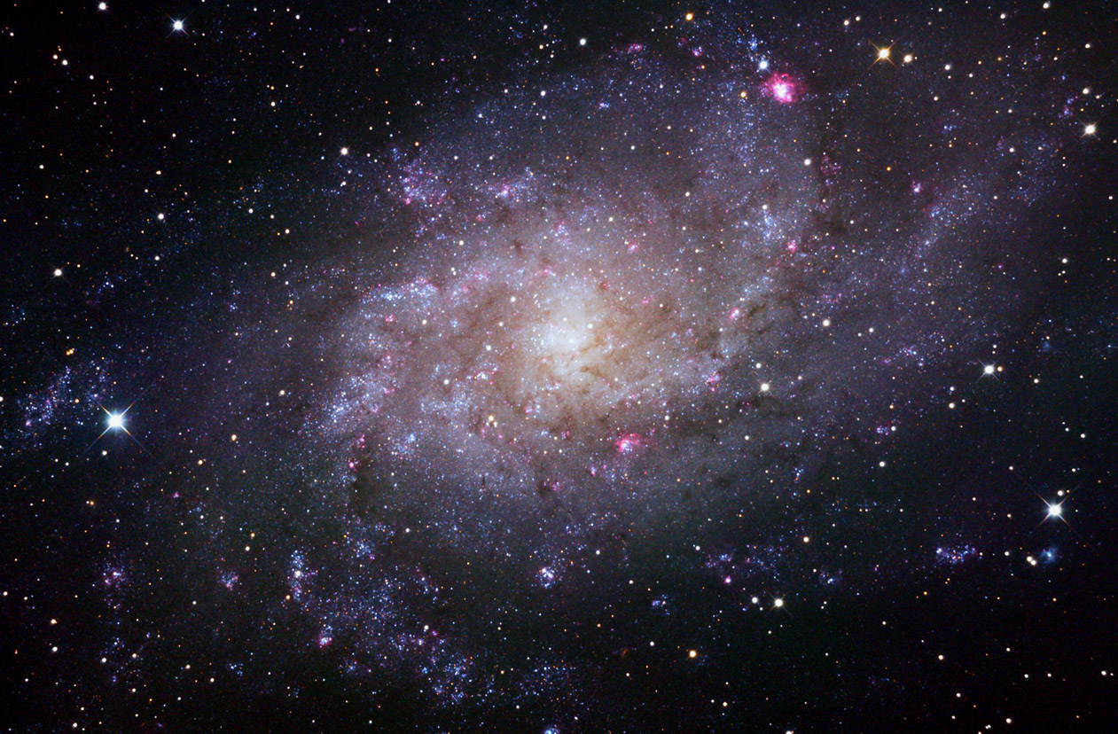 M33