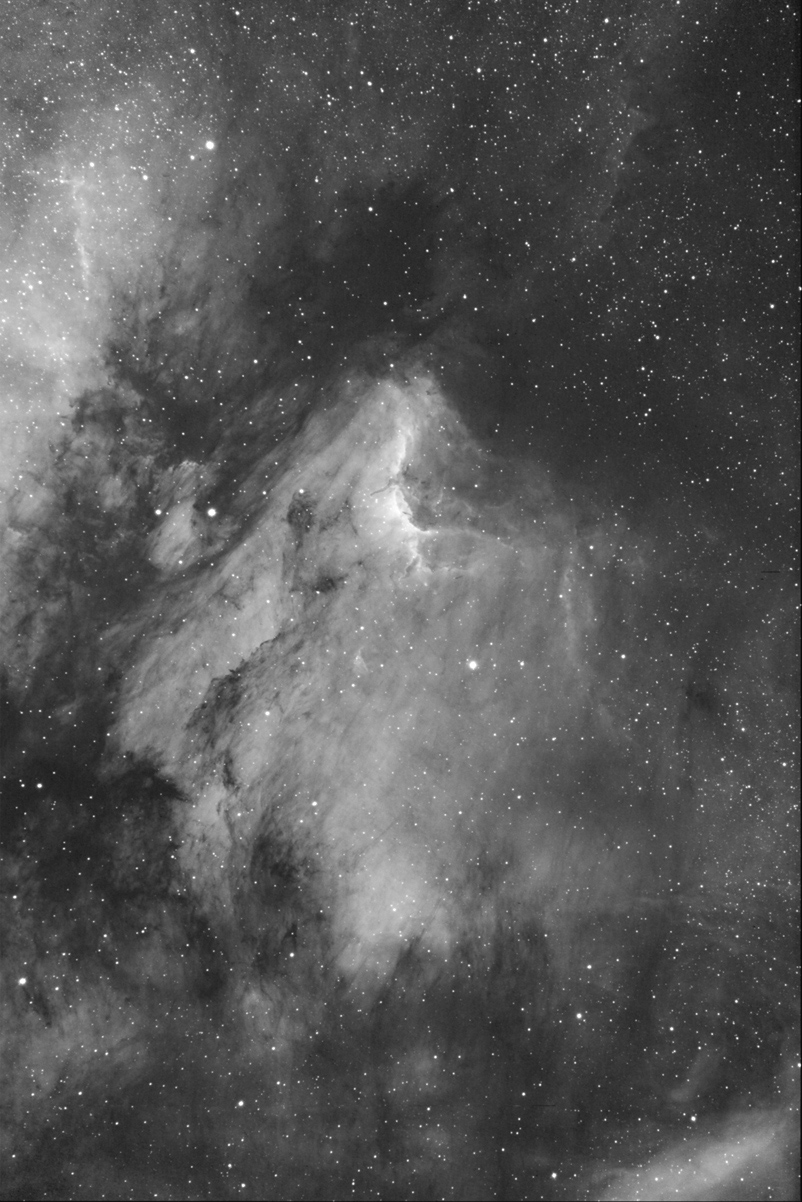 The Pelican Nebula