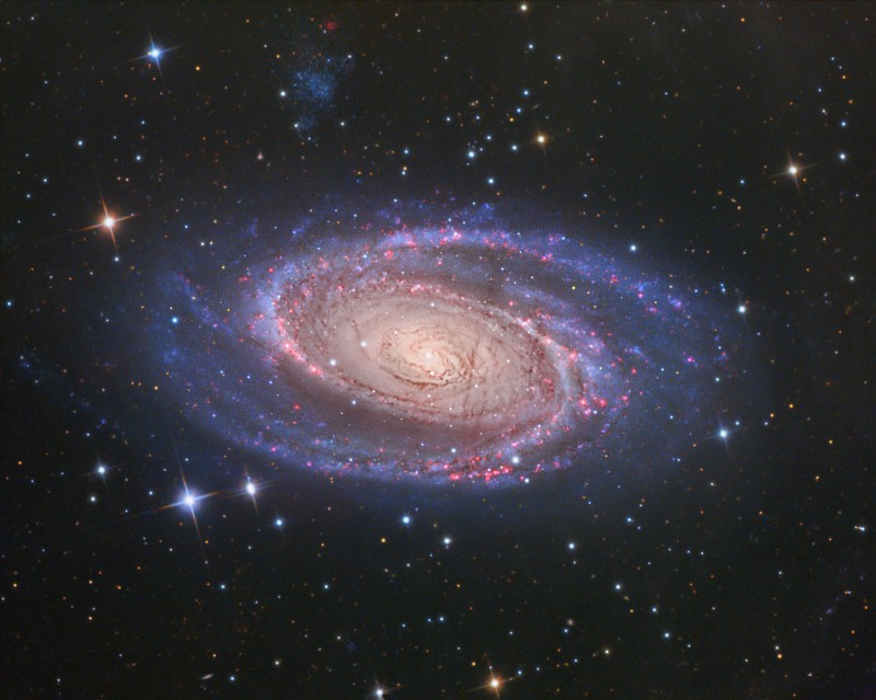 M81 LRGB + H-alpha