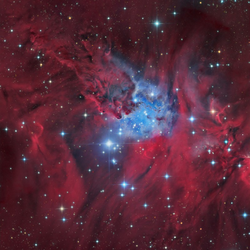 NGC 2264 The Foxfur Nebula