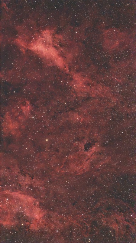 Cygnus area with Seestar s30 Pro image