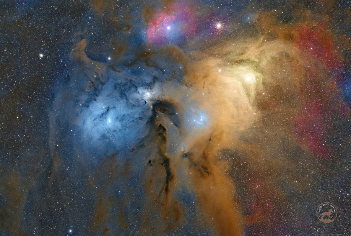 Rho Ophiuchi Cloud Complex