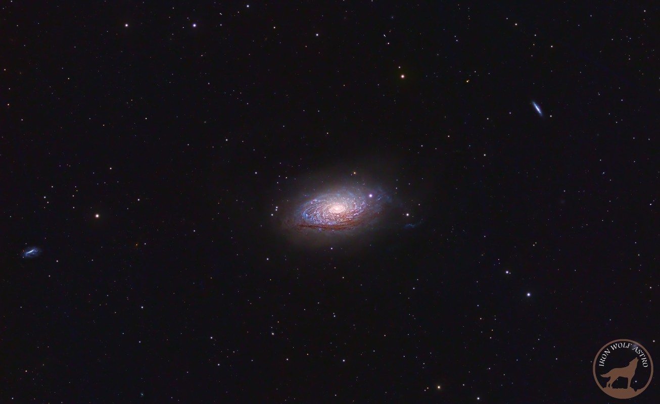 Sunflower Galaxy - M63