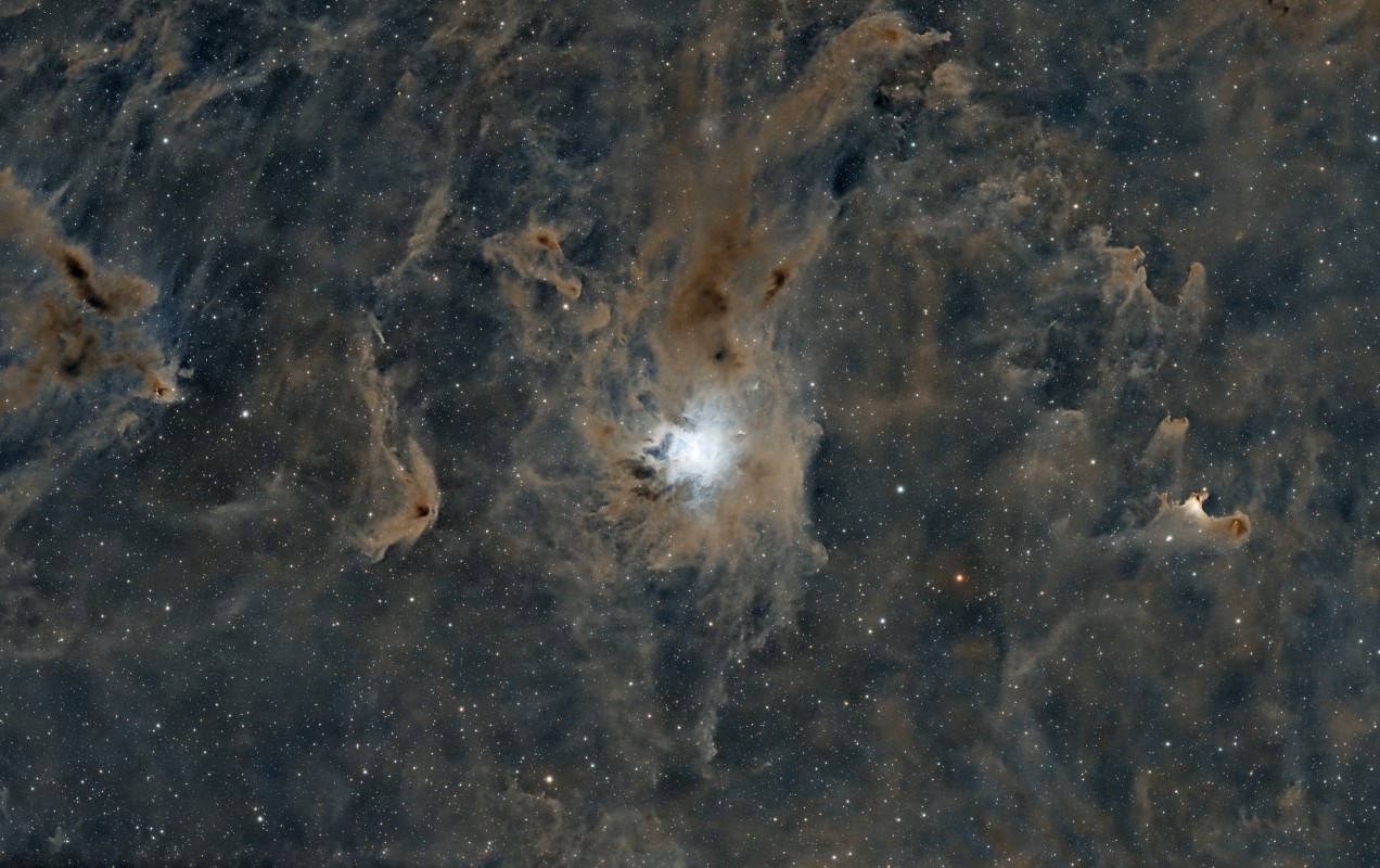 Iris NGC7023