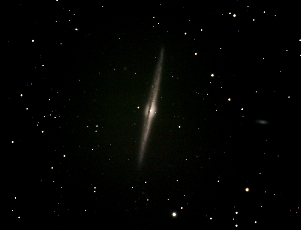 NGC 4565