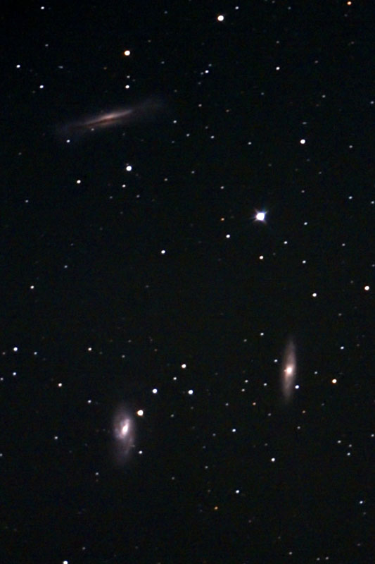 Leo Triplet