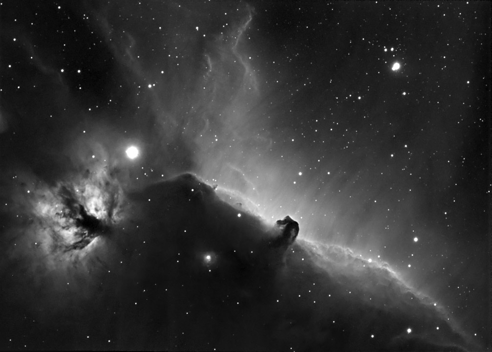 Horsehead Region in Ha