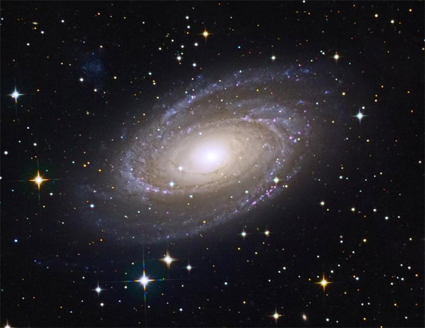 M81
